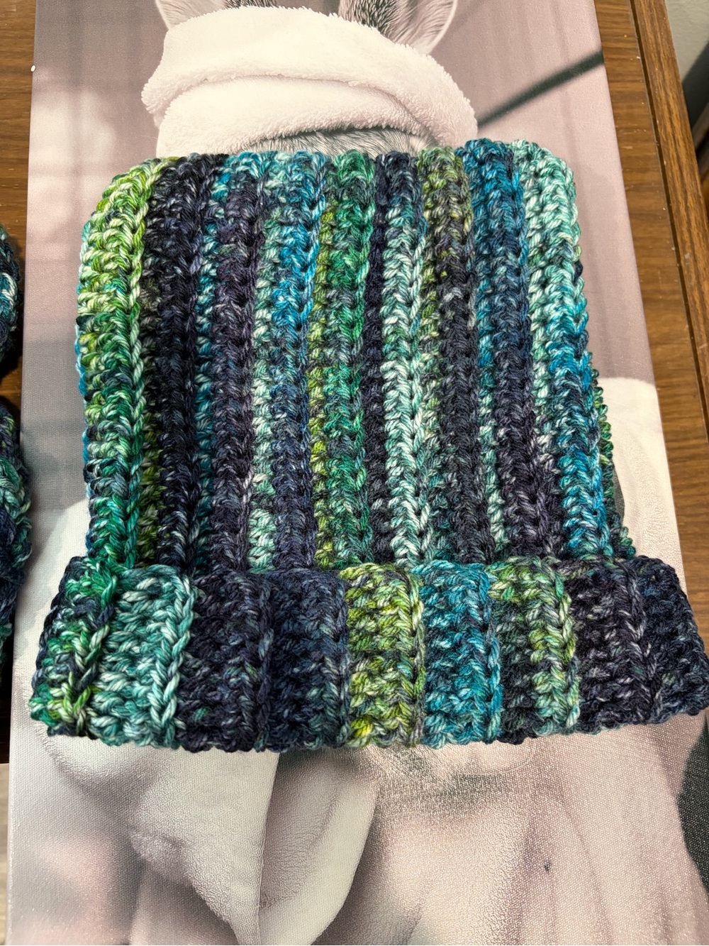 Handmade Crochet Cat Ear Beanie Blue Green Boho Hippie Hat - Picture 4 of 5